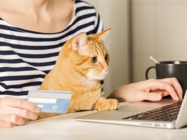 Amazon’s AI Revolution – Transforming Online Shopping into Social Commerce