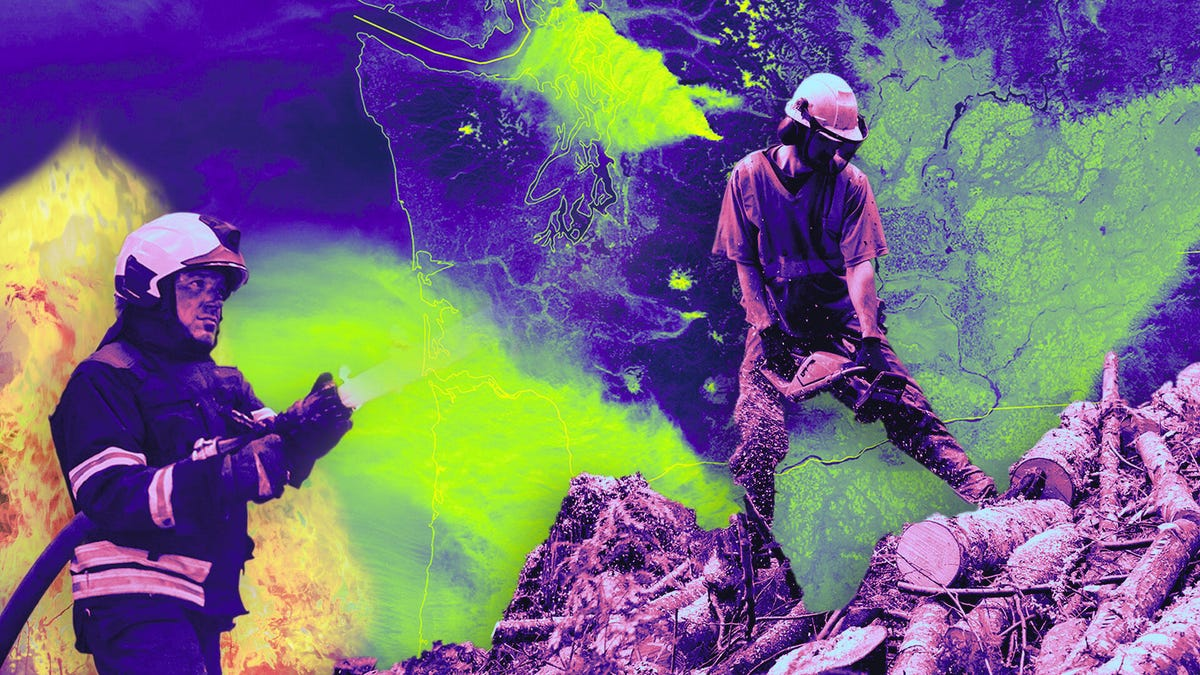 NASA Battles Wildfires with AI and Satellites