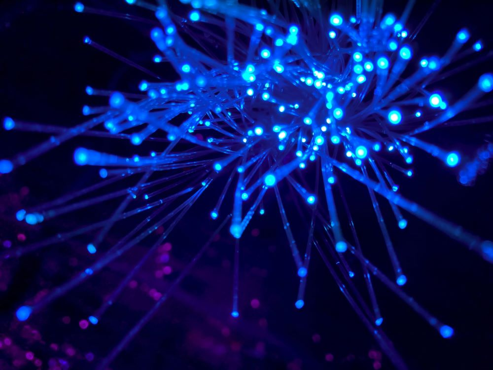 Argentina Launches AI Institute Inaria