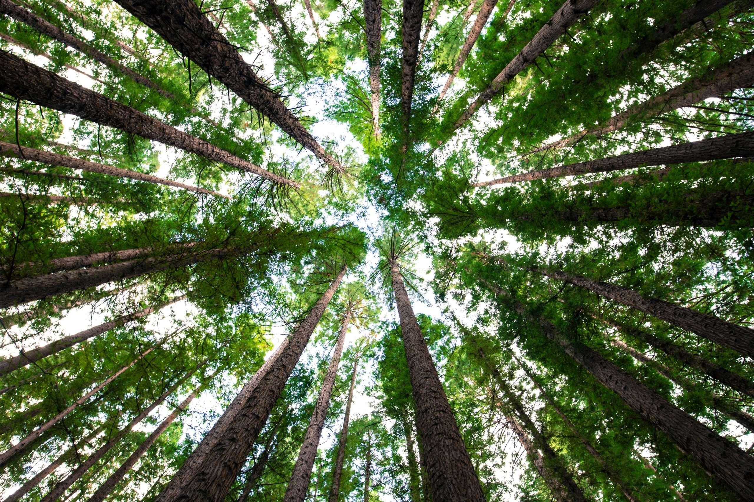 Generative AI – The Future of ESG in Sustainable Investing