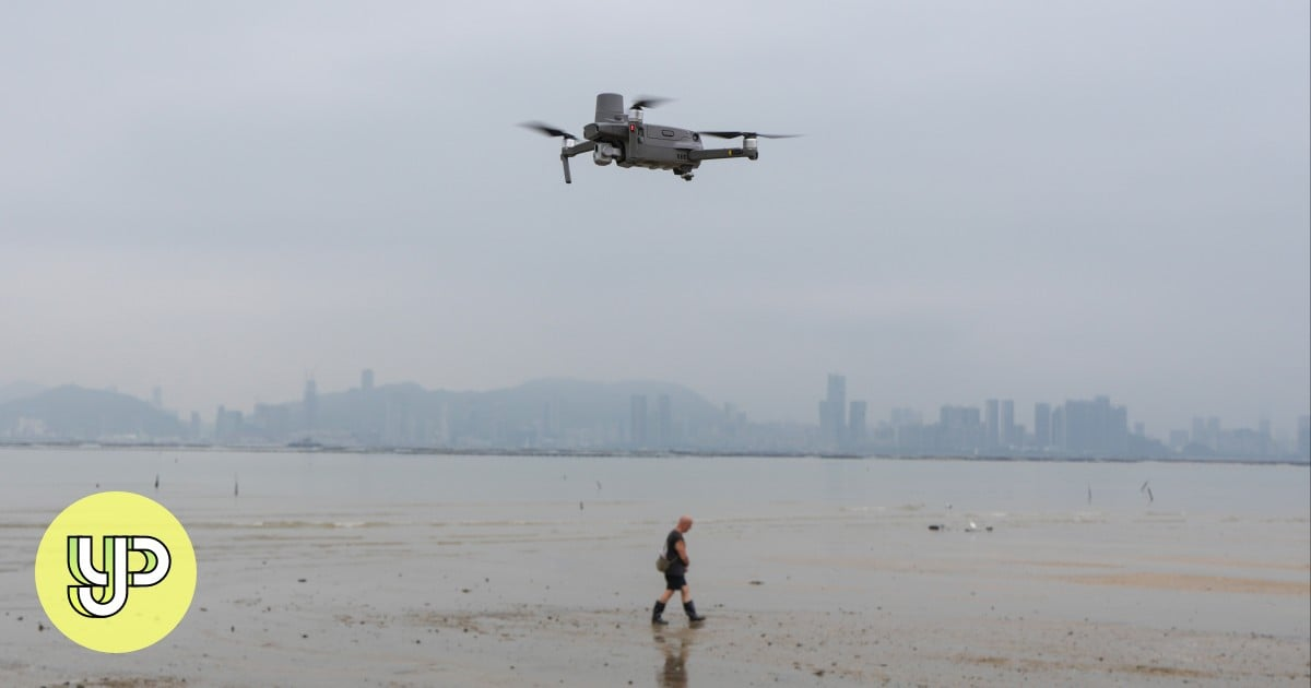 Drones and AI – New Allies in Saving Hong Kong’s Endangered Horseshoe Crabs