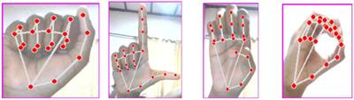 Revolutionizing Sign Language Learning with ML-Driven Web Tools