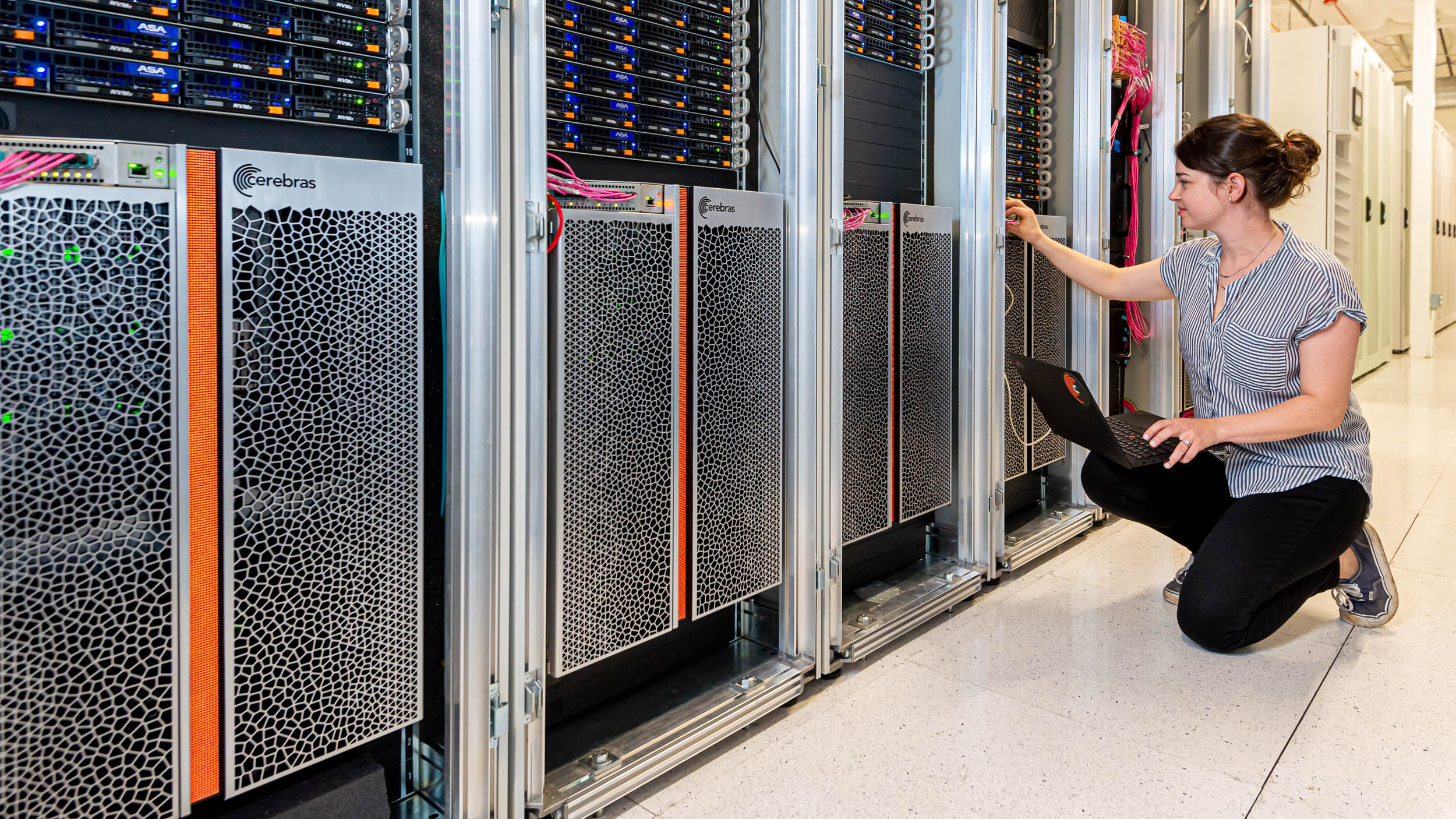 Cerebras Systems Takes Aim at Nvidia’s AI Throne