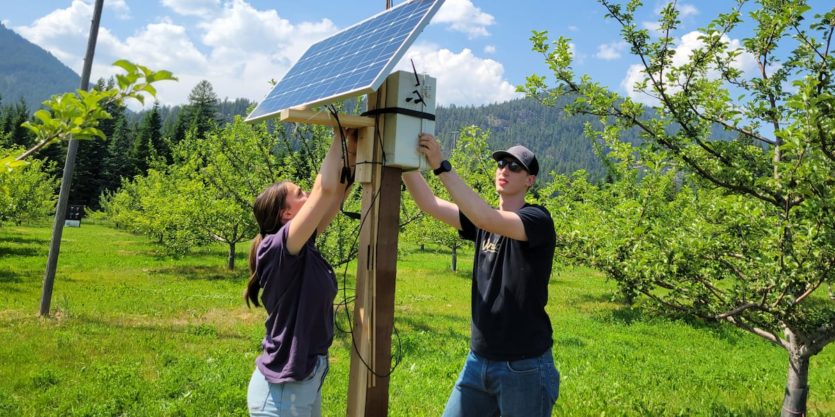 AI-Powered Farming Revolution