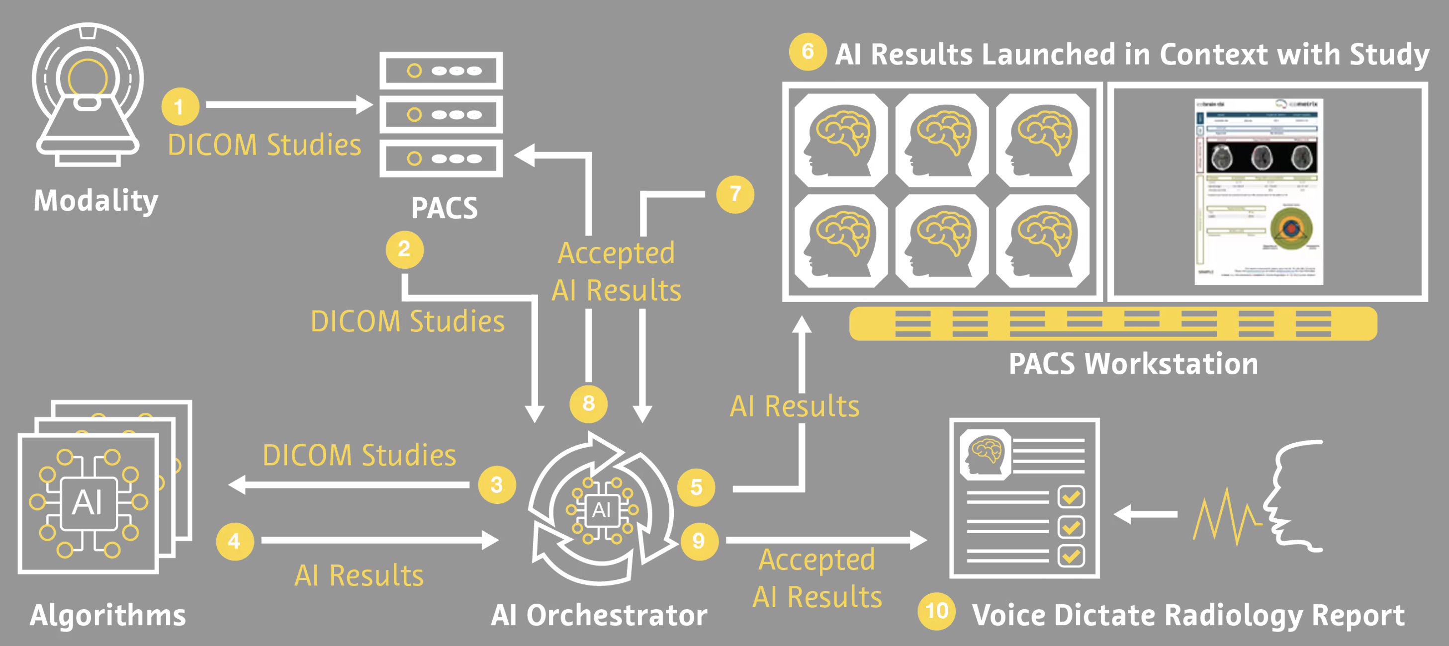 Bayer and Rad AI Join Forces to Revolutionize Radiology with AI