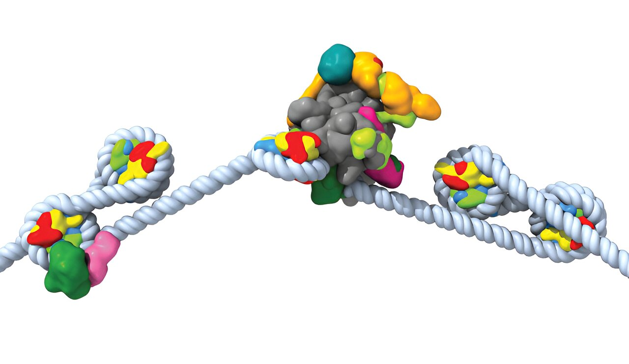 Molecular Machines Unveil Secrets of Gene Expression