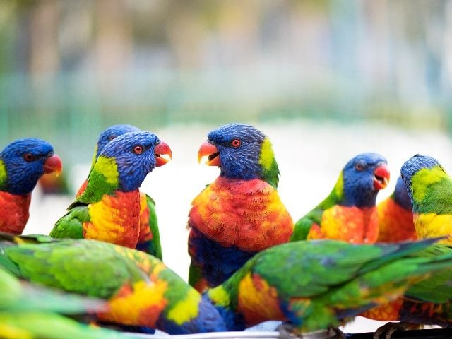 AI Reshapes Ecommerce – From Clicks to Conversations