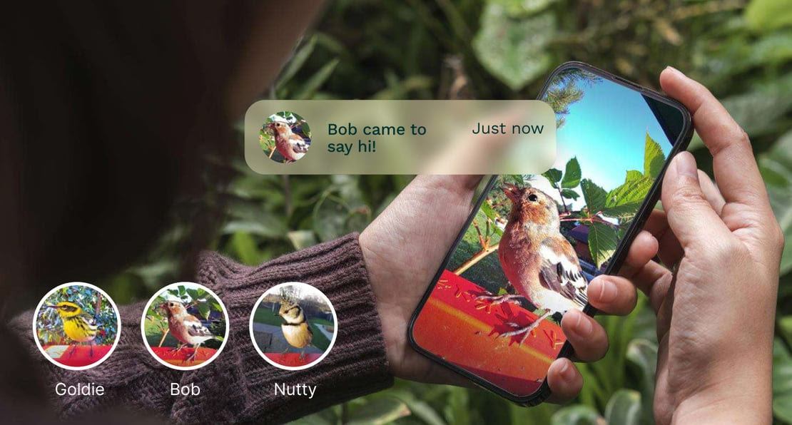 Bird Buddy Introduces AI-Powered Bird Naming Feature
