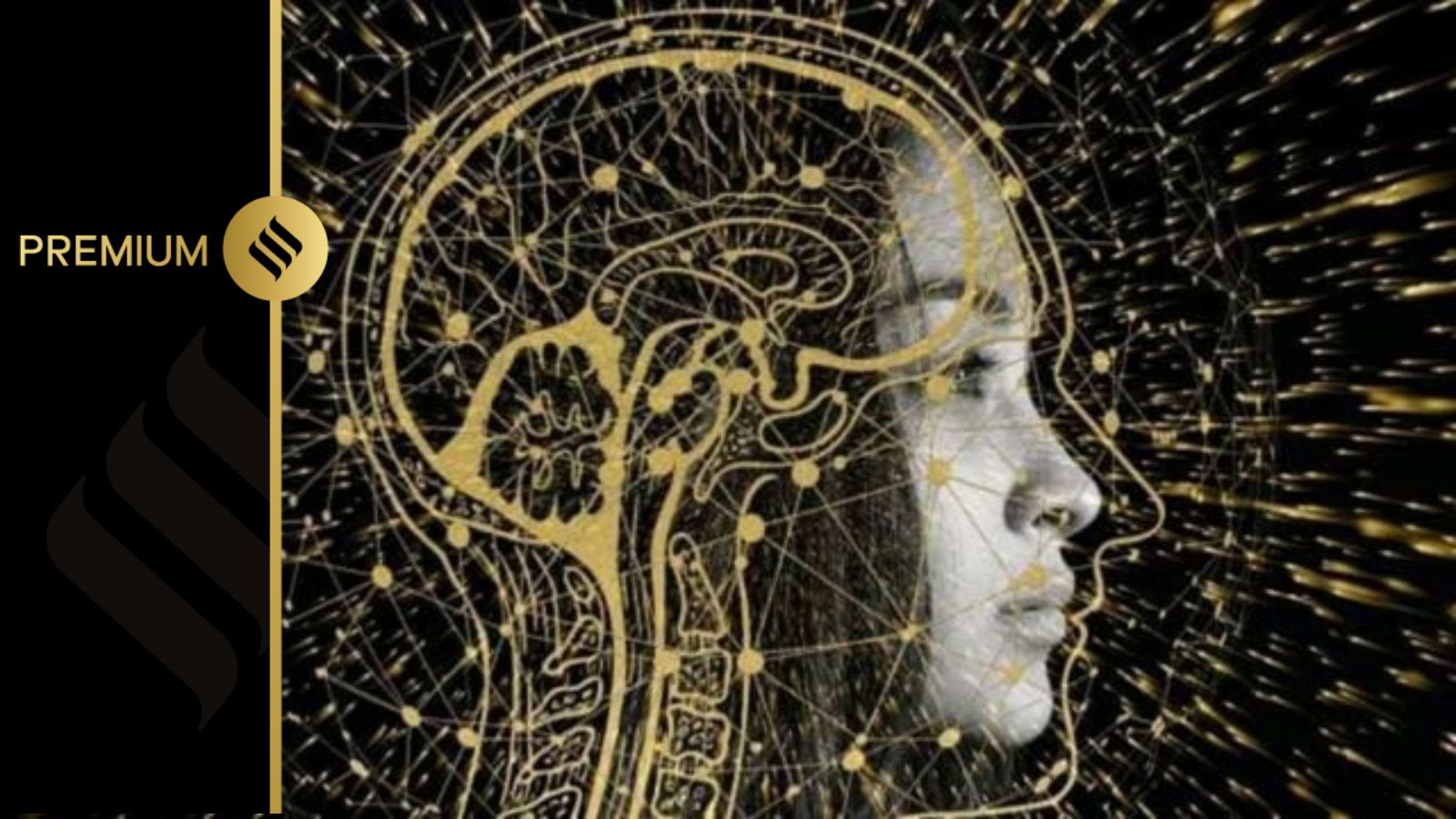 GPAI and OECD Forge Integrated Partnership Amid Behind-the-Scenes Trade-Offs