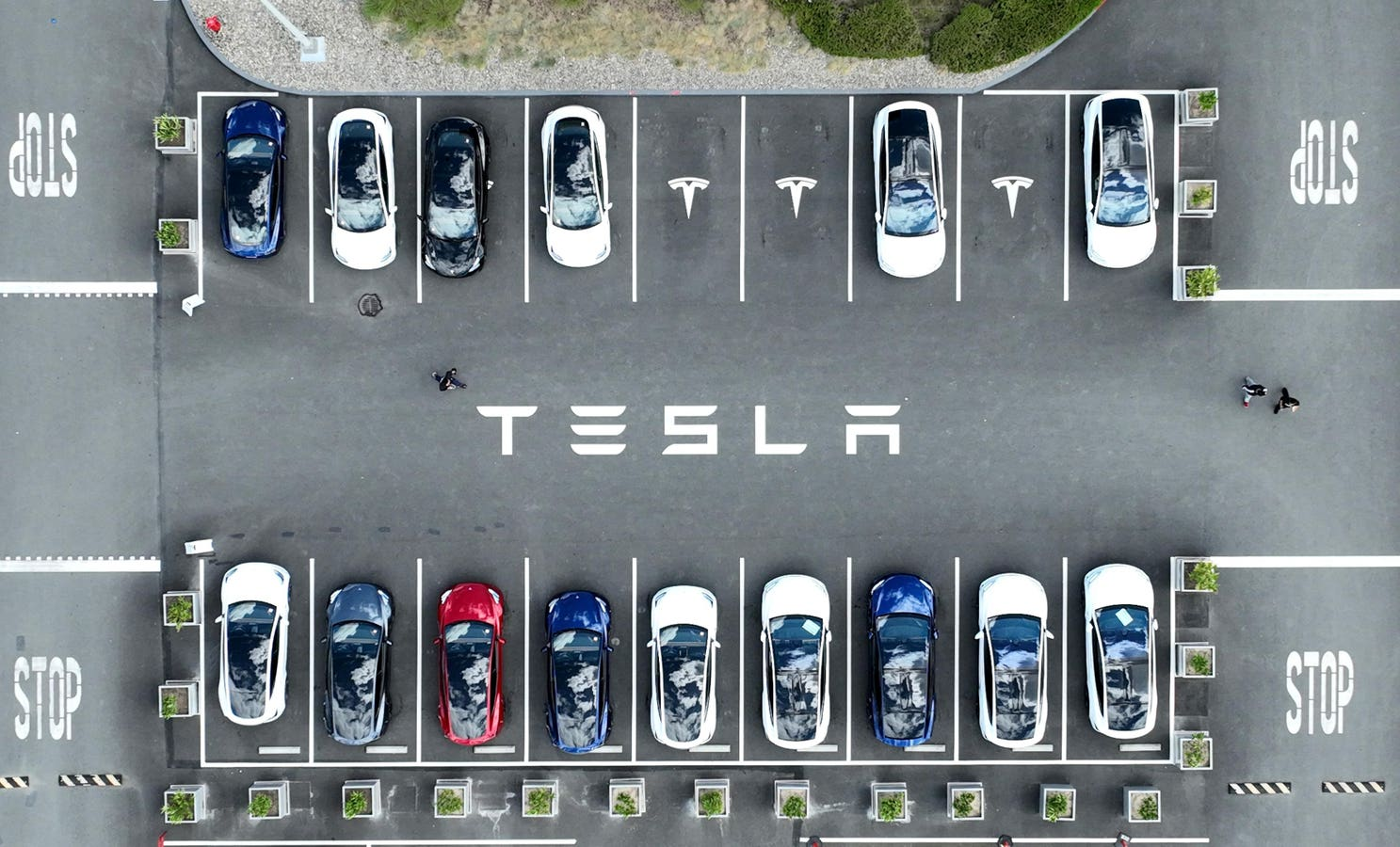 Tesla’s Rapid Rally – Hype or Sustainable Growth?