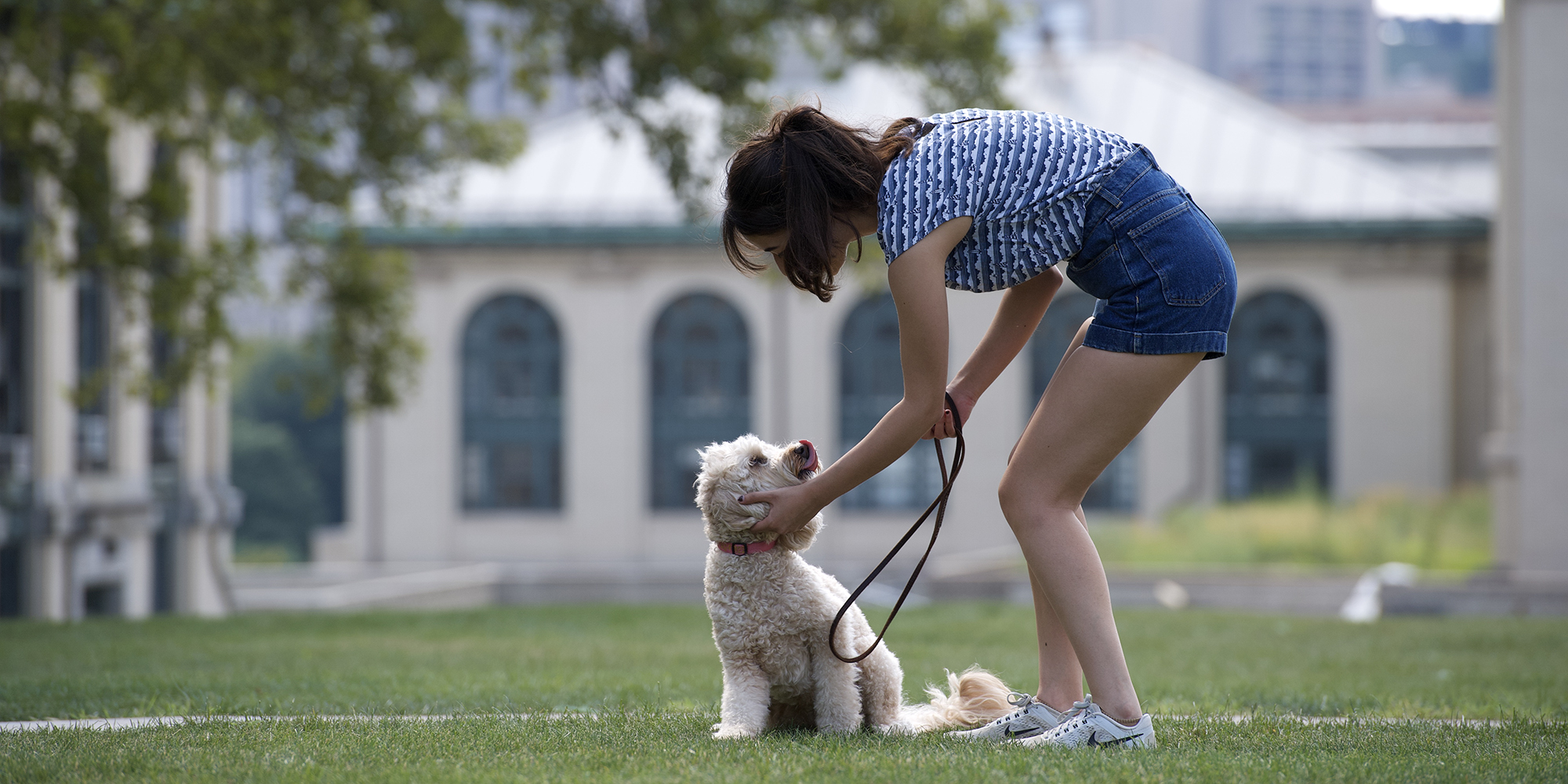 AI-Powered Platform Aids Dog Parents in Health Decisions