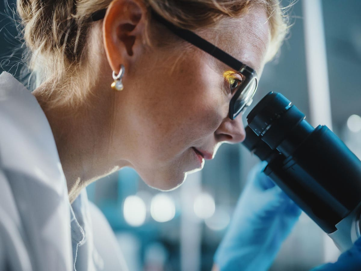 The Future of Science – How AI is Set to Revolutionize Research