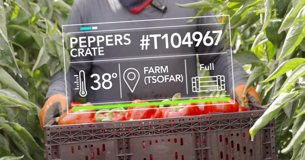 Wiliot’s WiliBot Revolutionizes Supply Chain Visibility with AI