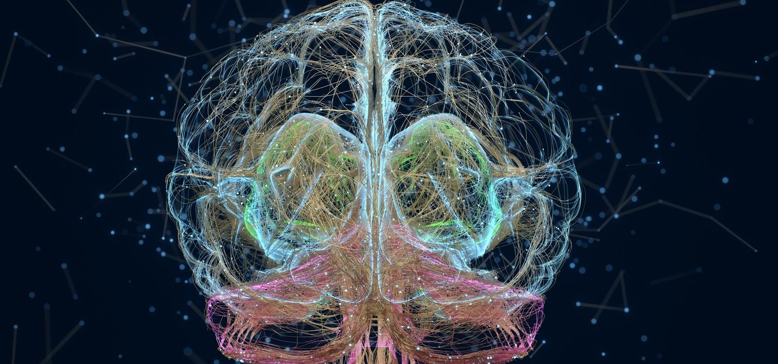 The Future of Computing – How Living Brain Organoids Could Change AI