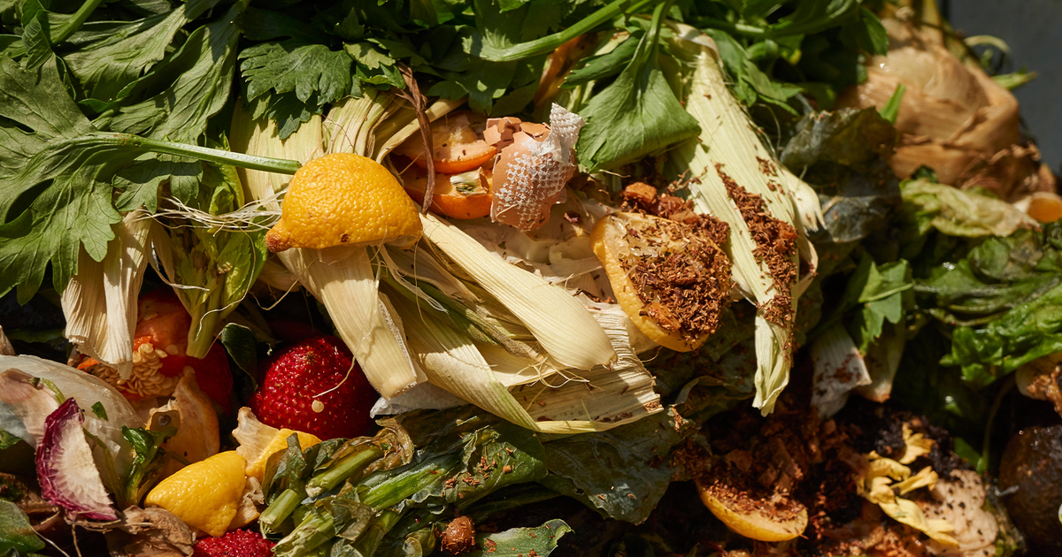 Revolutionizing Food Waste – How AI is Transforming the Industry