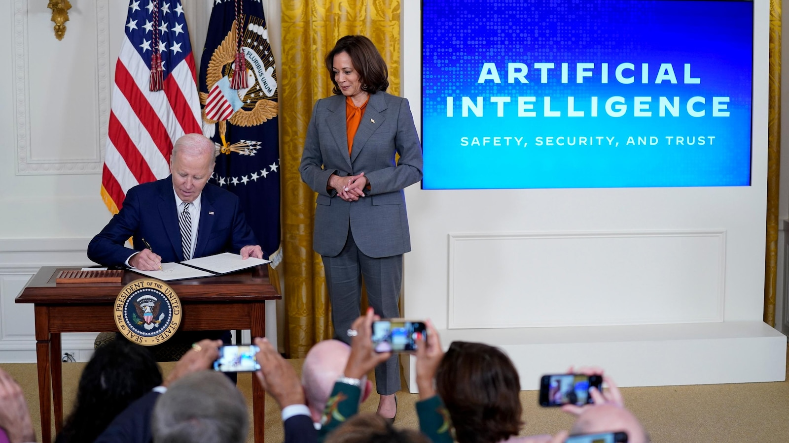 How Regulators Determine AI Risks and Safety Measures