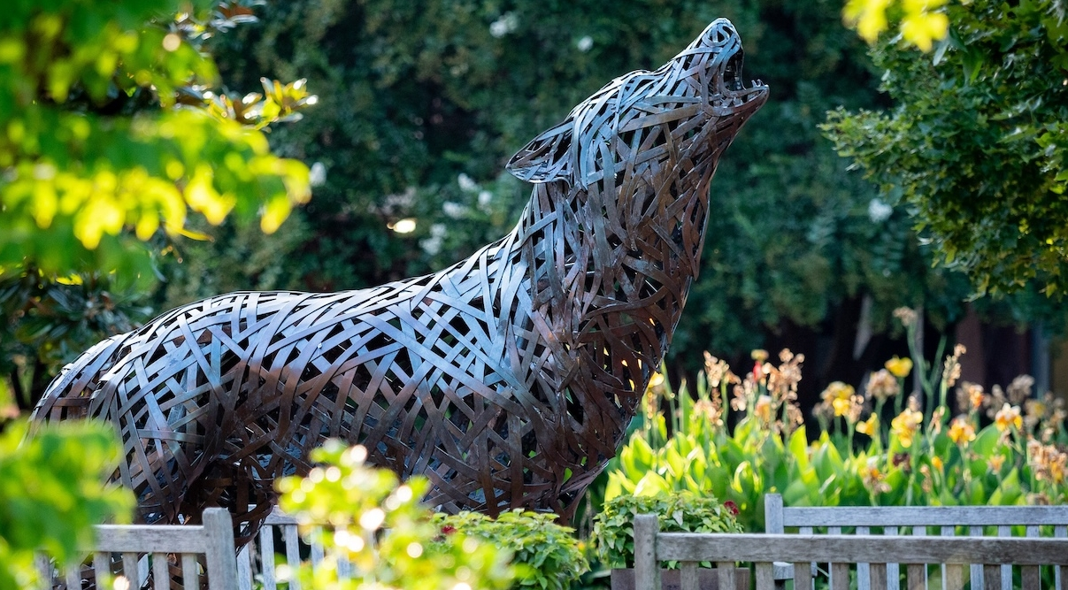 Innovative AI Program at NC State to Transform Agricultural Leadership