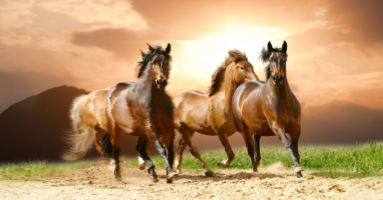 The Age of Deep Doubt – Navigating the New Reality of AI Skepticism