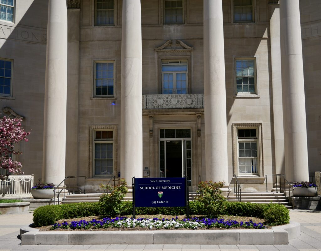 Exploring AI Mammography – A New Era in Breast Cancer Detection