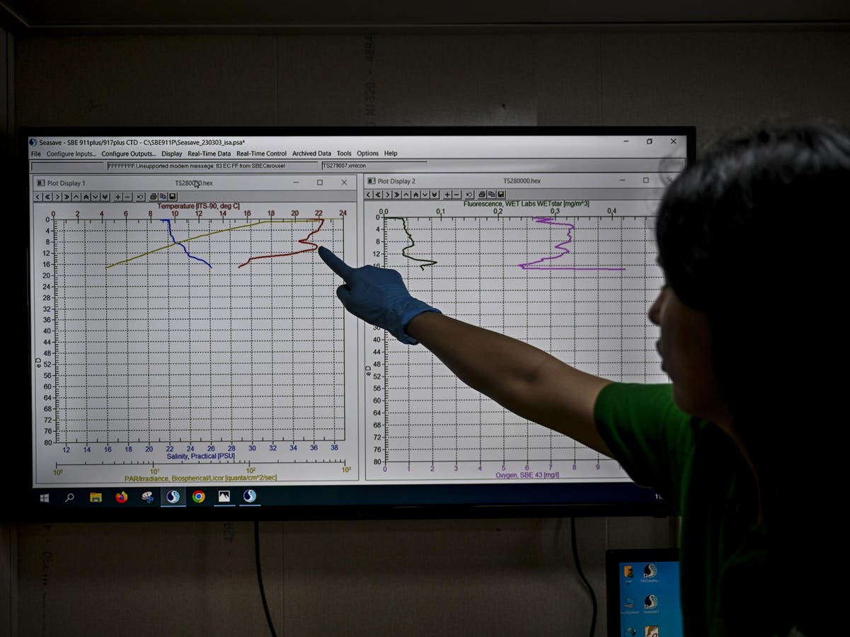 Unlocking Data Insights – How AI Tools Transform Analysis for Everyone