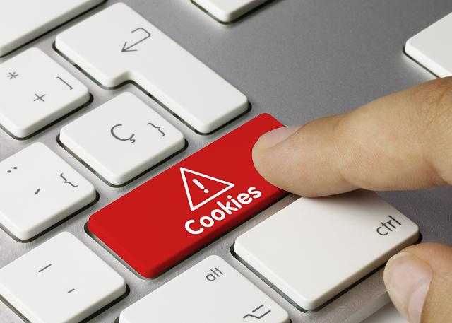 Navigating the Cookieless Future – AI’s Role in Digital Advertising