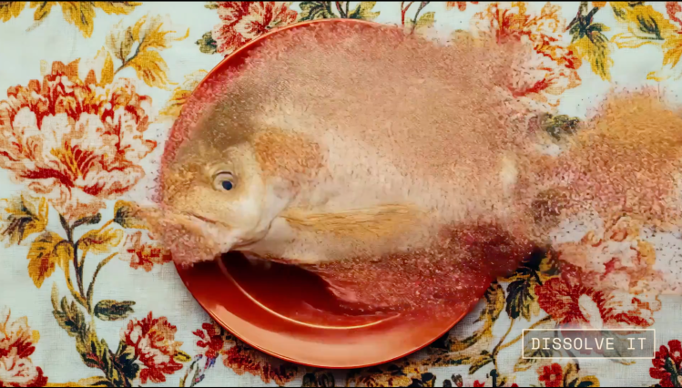 Pika Labs Revolutionizes Video Production with New AI Effects