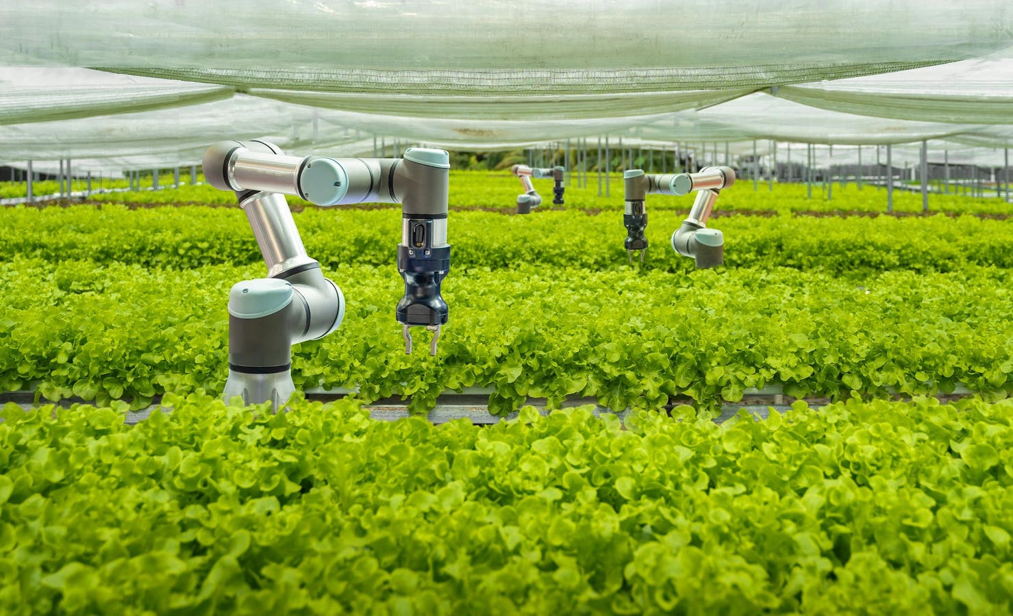 Revolutionizing Agriculture – The Rise of AI in Farming