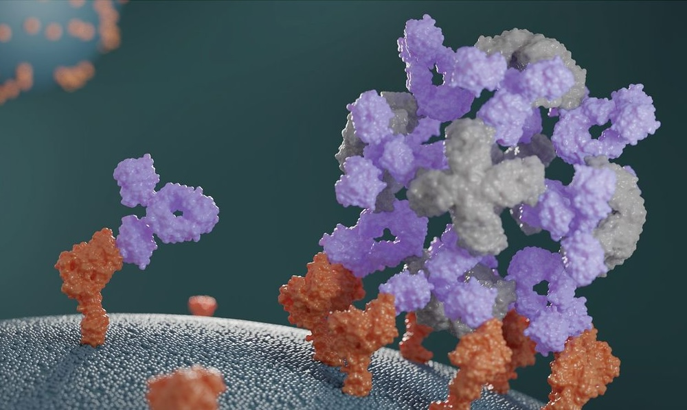 AI-Powered Biotech Startup Raises $20M for Novel Antibody Cages