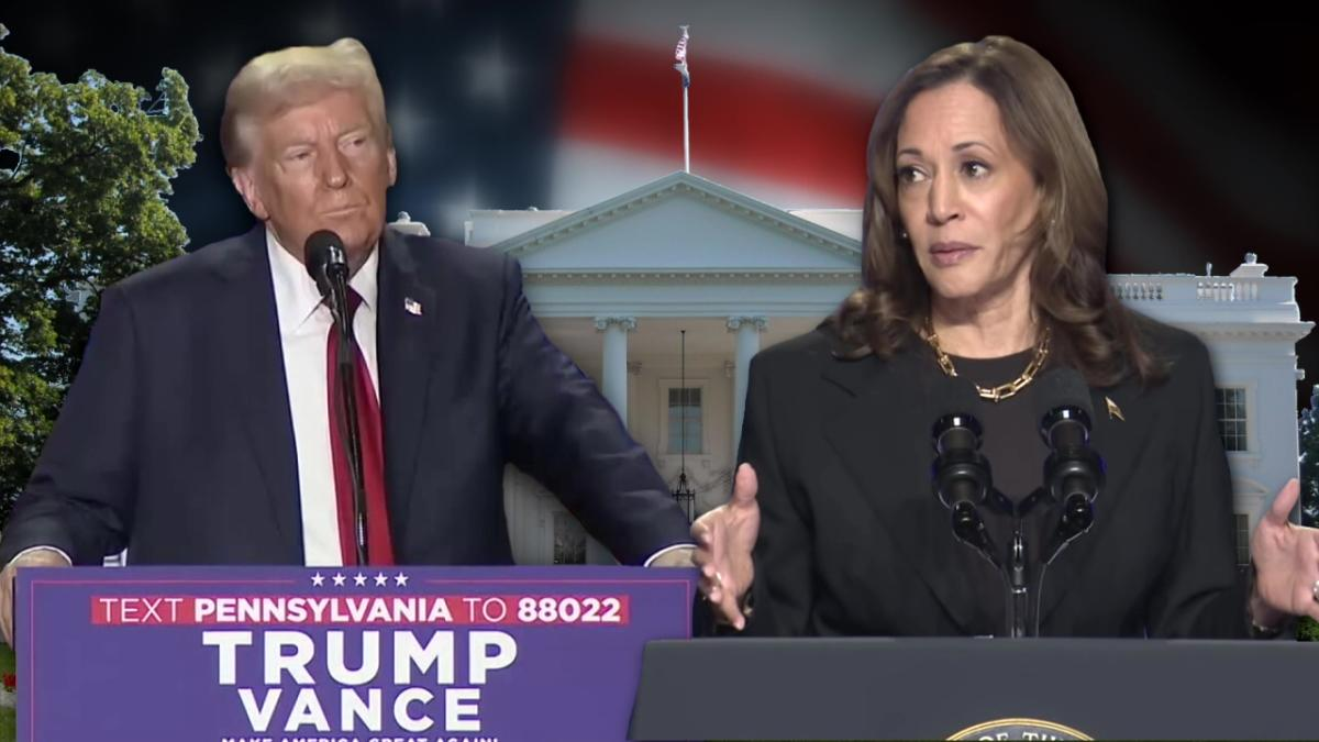 AI Manipulation – The New Threat to Election Integrity