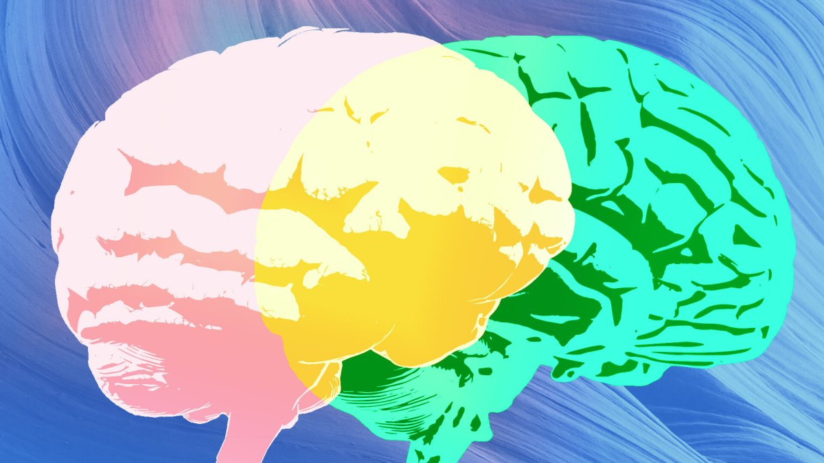 Innovative Neurotech Startups Seek to Revolutionize Mental Health Treatment