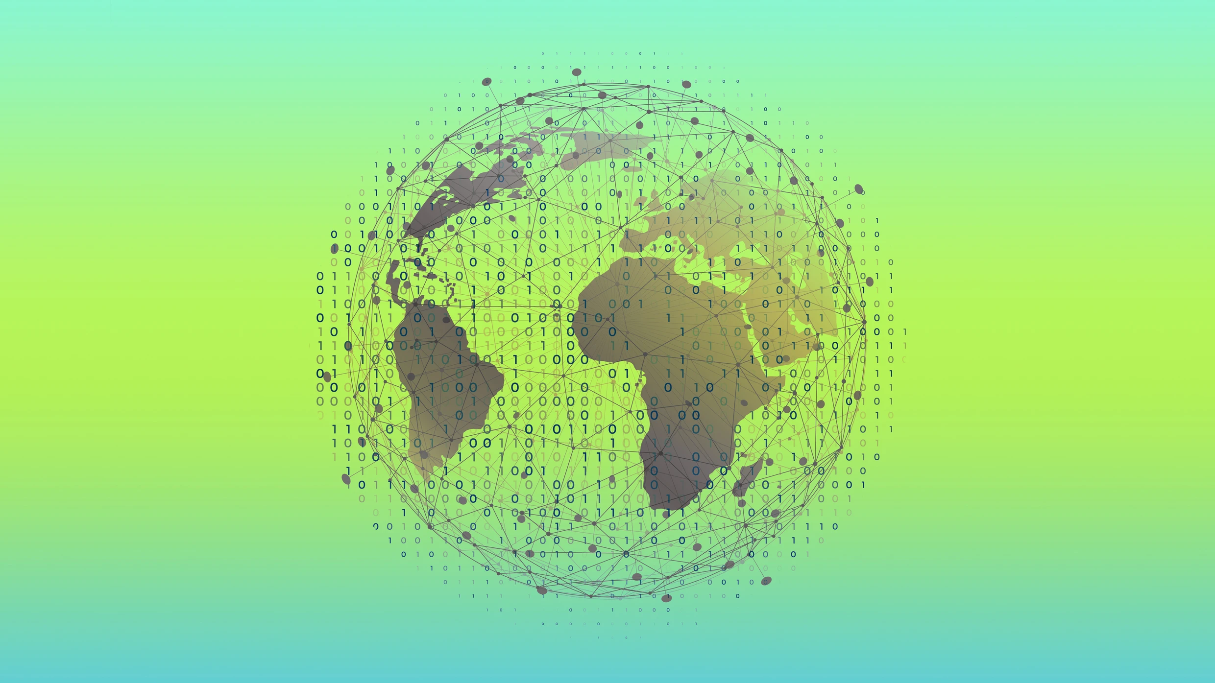 Navigating Data Challenges in Developing Countries with AI Solutions