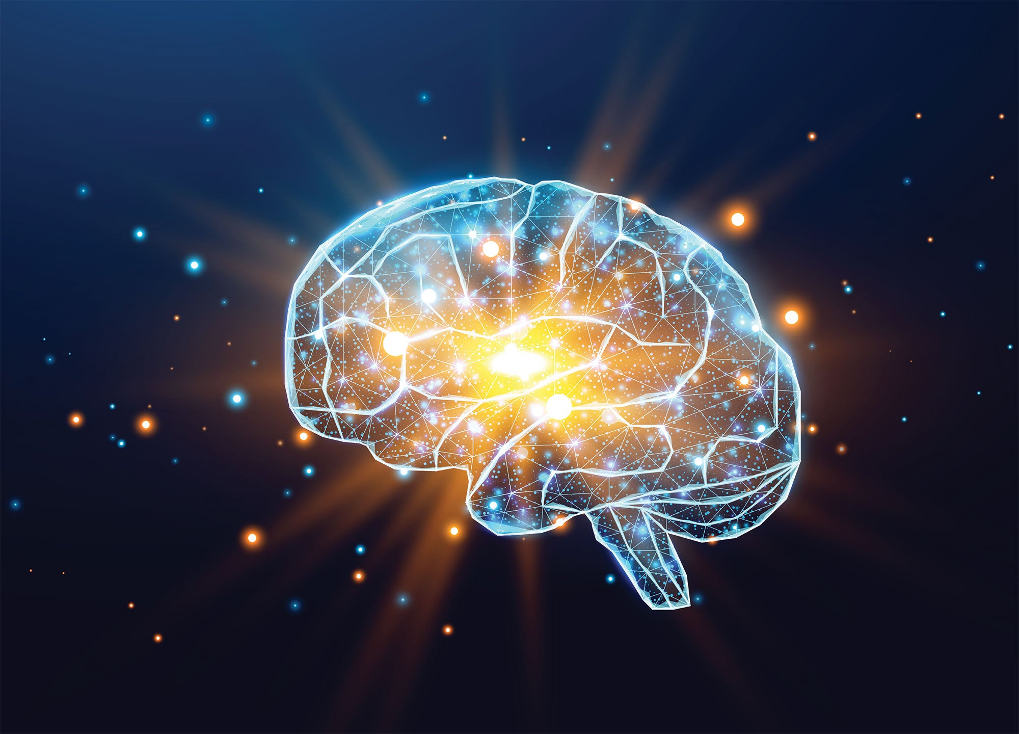 Exploring AI’s Future Through Neuroscience Research