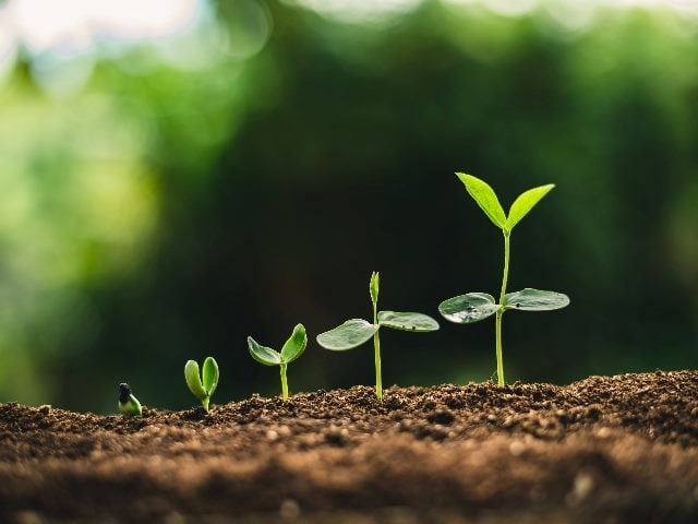 ChatGPT Surges – 3.7 Billion Monthly Visits Signal AI’s Bright Future