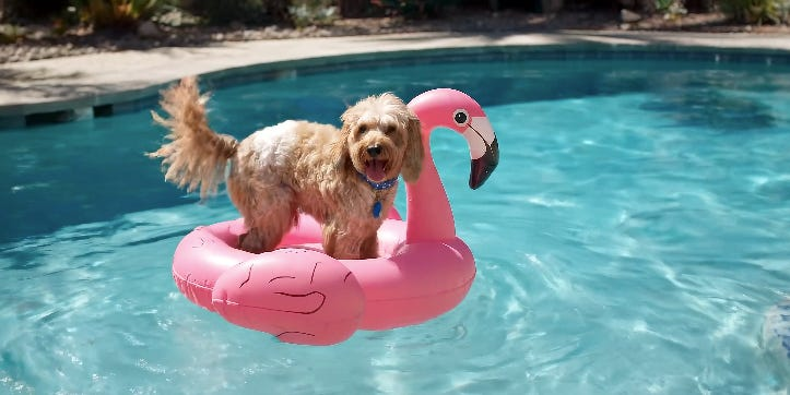 Google’s AI Video Generator Outshines OpenAI’s Sora