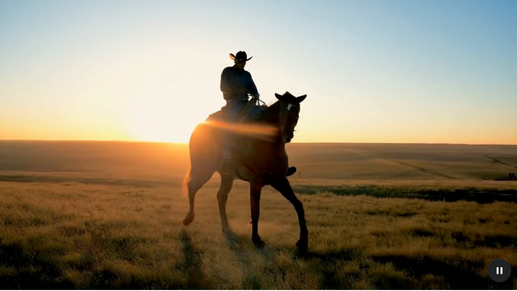 Google Cloud Introduces Veo and Imagen 3 – Revolutionizing AI Content Creation