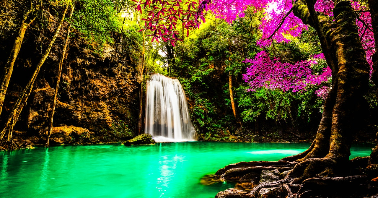 AI-Free Photography – Rediscovering Authentic Mobile Moments