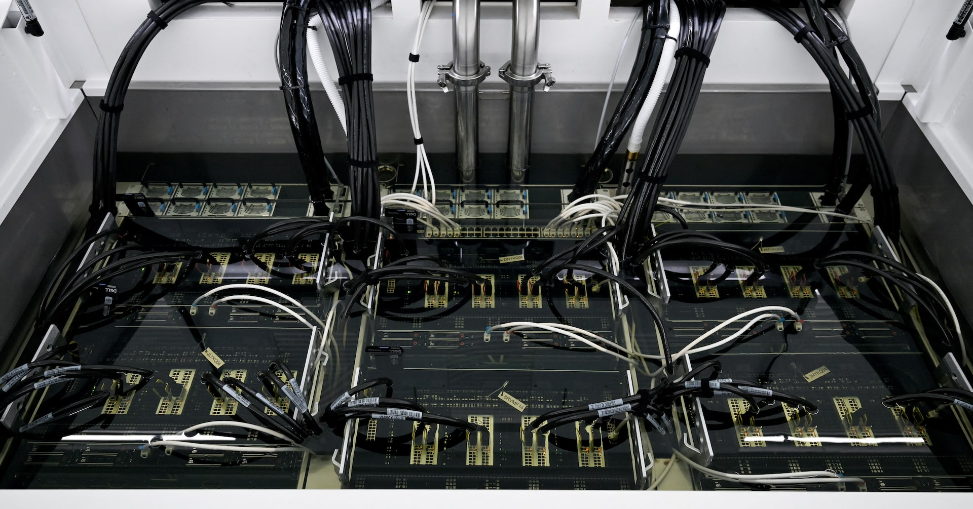 Tech Industry Urges Biden to Rethink AI Chip Export Controls