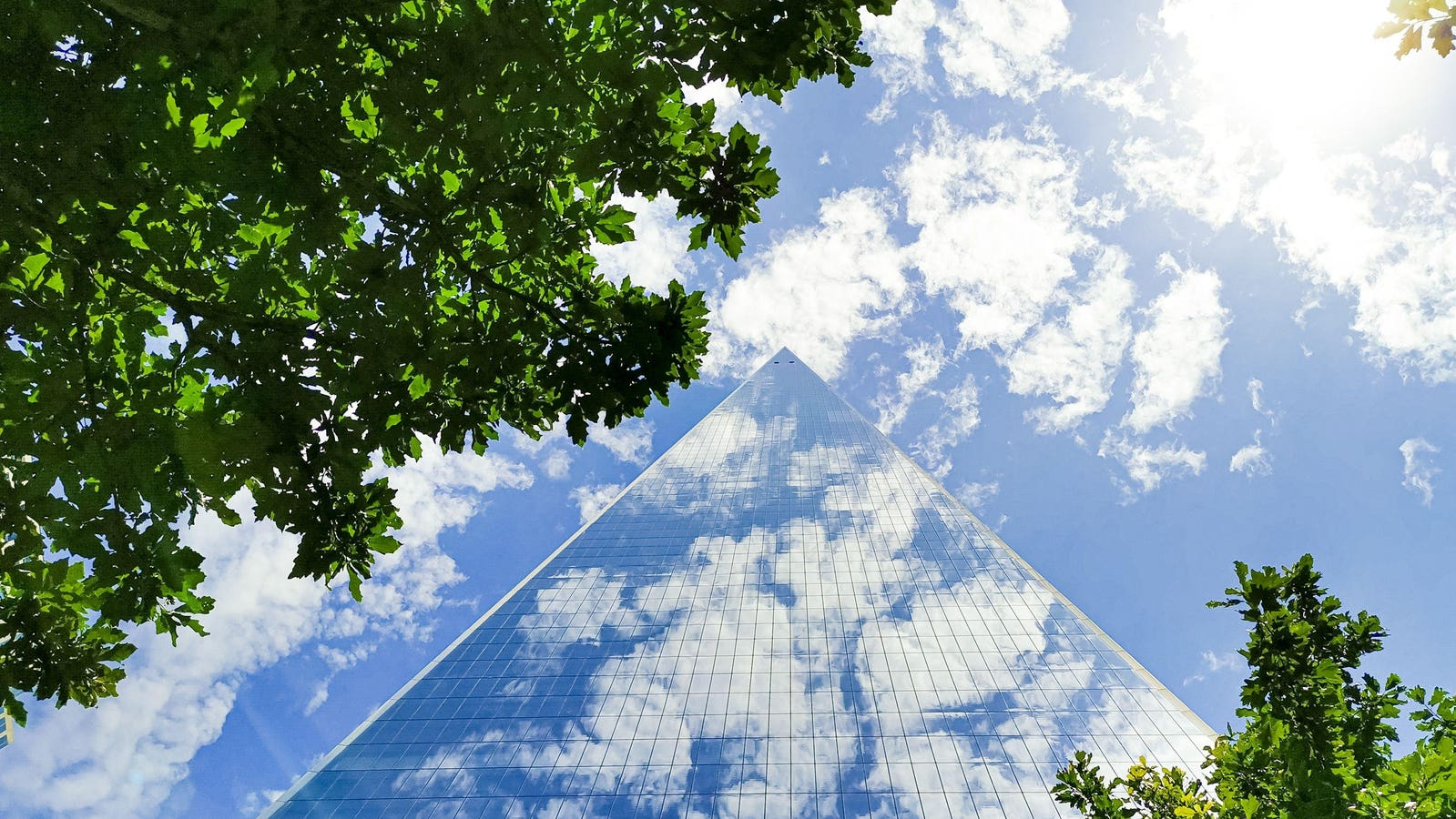 California State University Leads AI Revolution for 500,000 Students