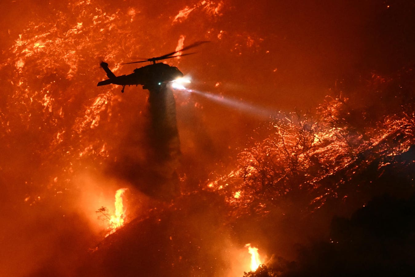 The Urgent Call to Combat the Wildfire Crisis