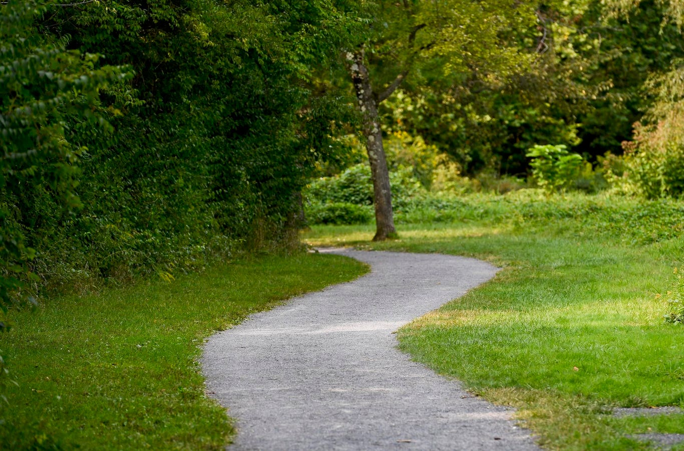 AI Revolution – Navigating the Shift to Real-Time Data Engineering