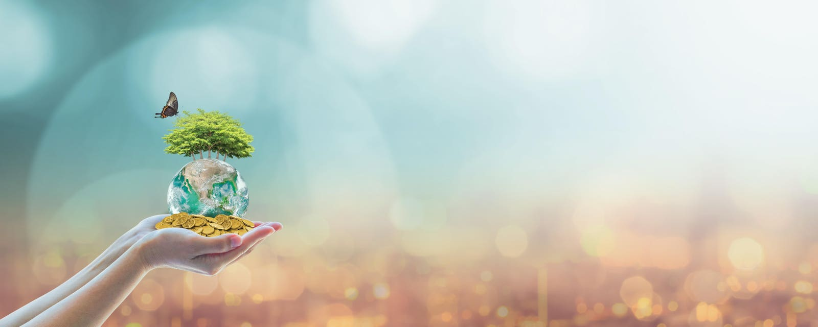 Harnessing AI for a Fairer Future – The Role of Human Values