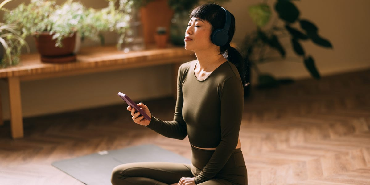 Neurofit – Harnessing AI and Somatic Exercises to Combat Chronic Stress