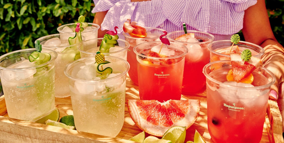 Eco-Friendly Innovation – How Repurpose Utilizes AI for Success