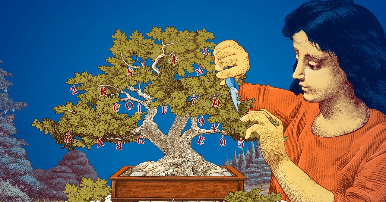 The Rise of Small Language Models – Efficiency Meets Precision