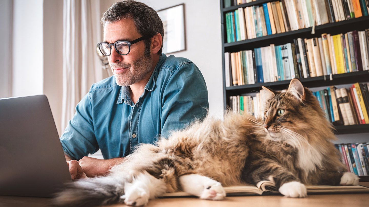 Generative AI – Consumer Attitudes and Adoption Trends Unveiled