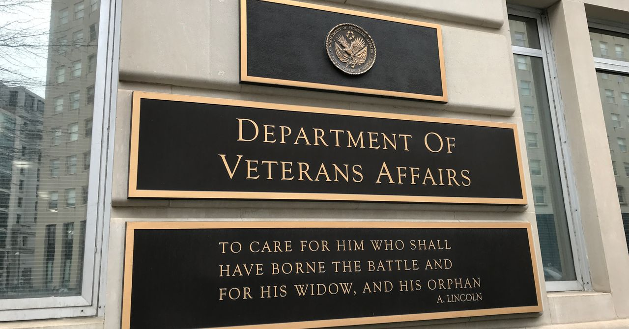 Elon Musk’s DOGE Targets VA – A New Era for Veterans Affairs