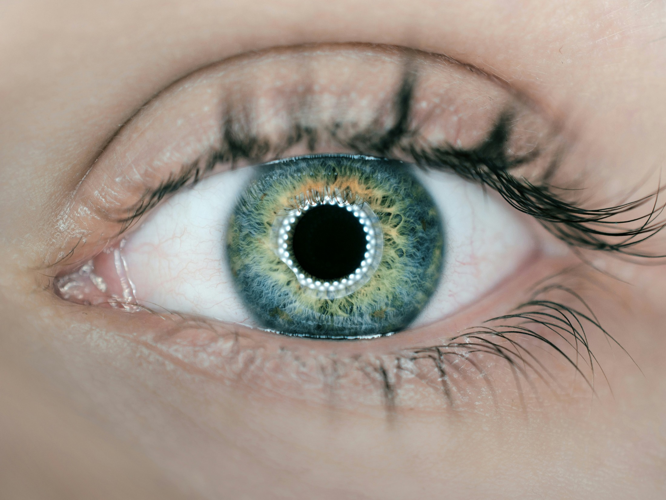 Meta’s Bold Leap Towards Advanced Machine Intelligence