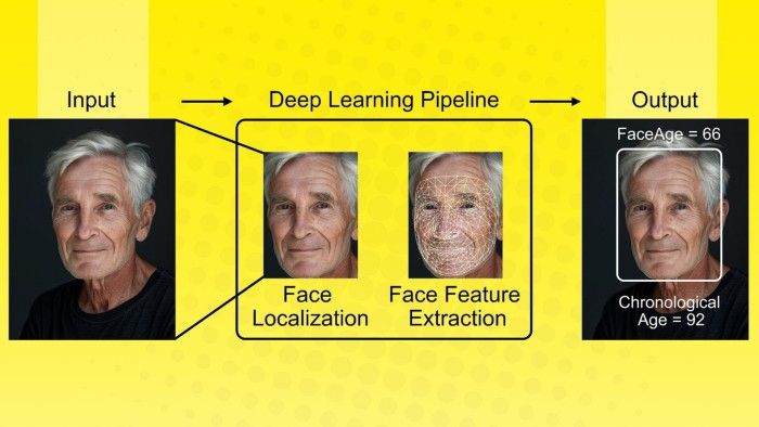 AI-Powered Face Analysis Predicts Cancer Survival Outcomes