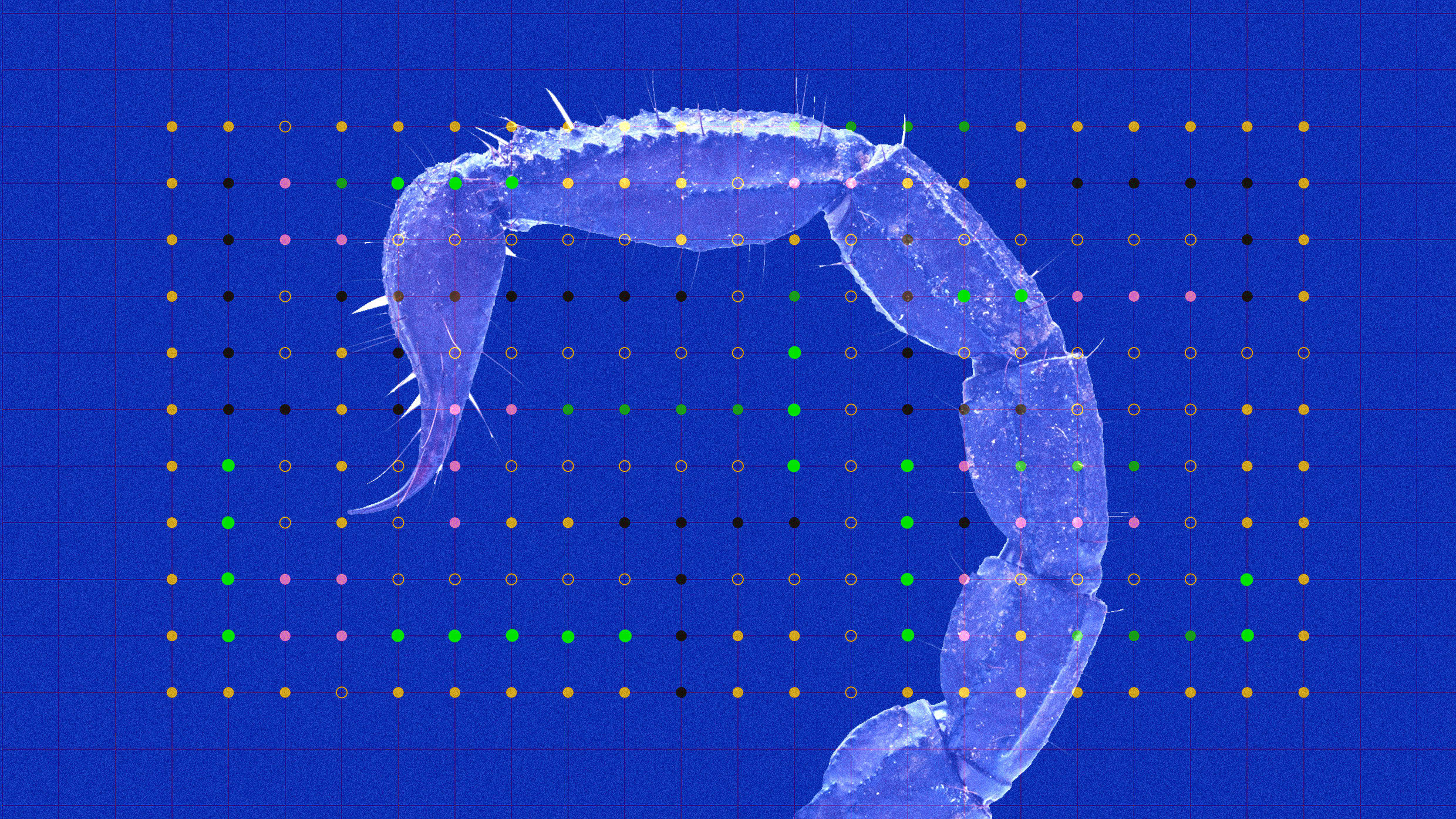 Worries Rise Over AI Safety and Job Losses in a Rapidly Changing World