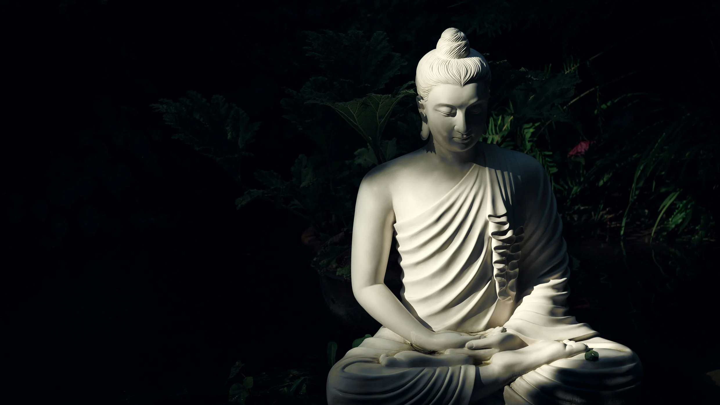 Navigating Grief – The Digital Afterlife Dilemma